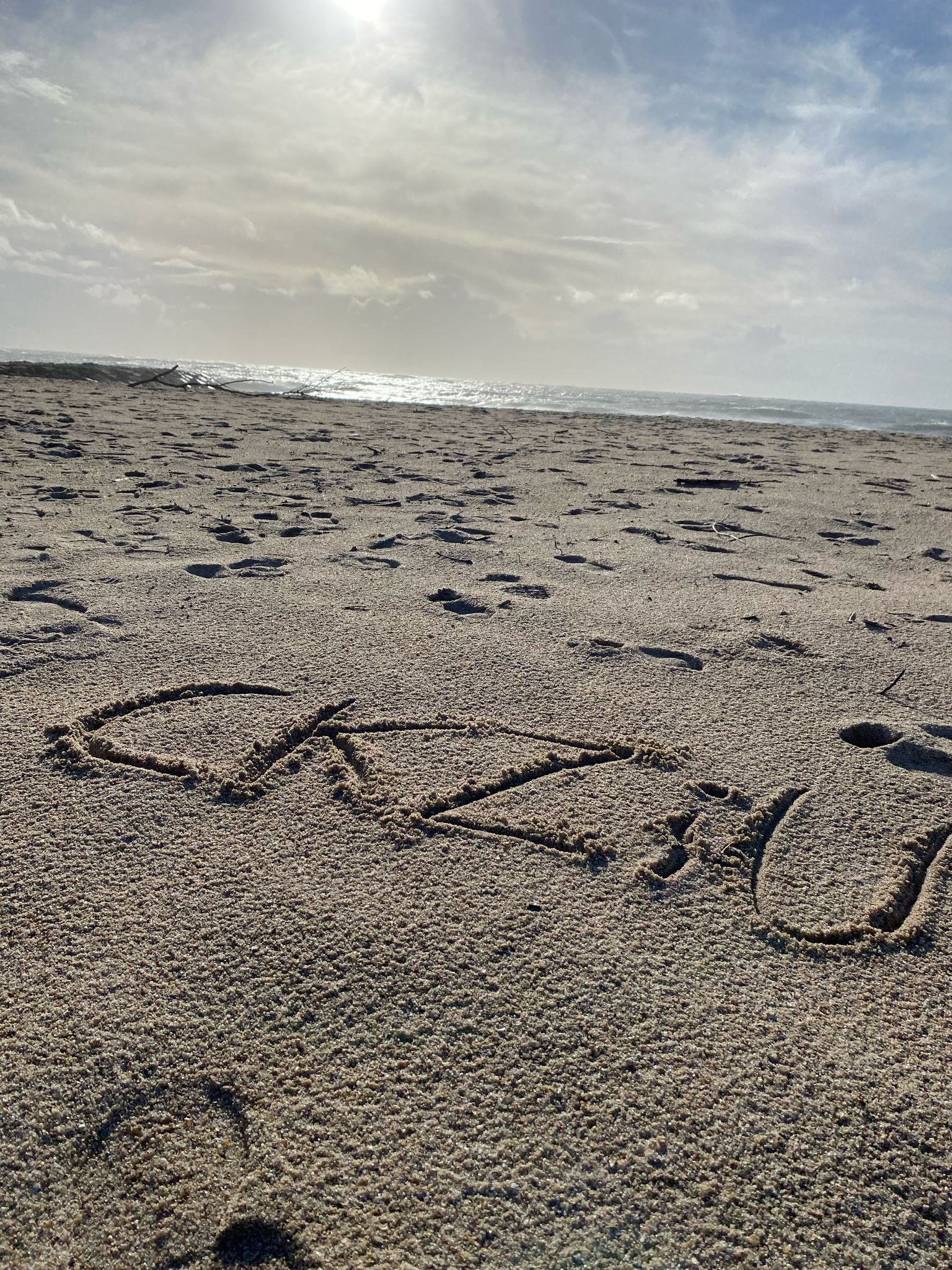 Uczniowie CKZiU na praktykach w Portugalii!!!!🌴🌵🏝️